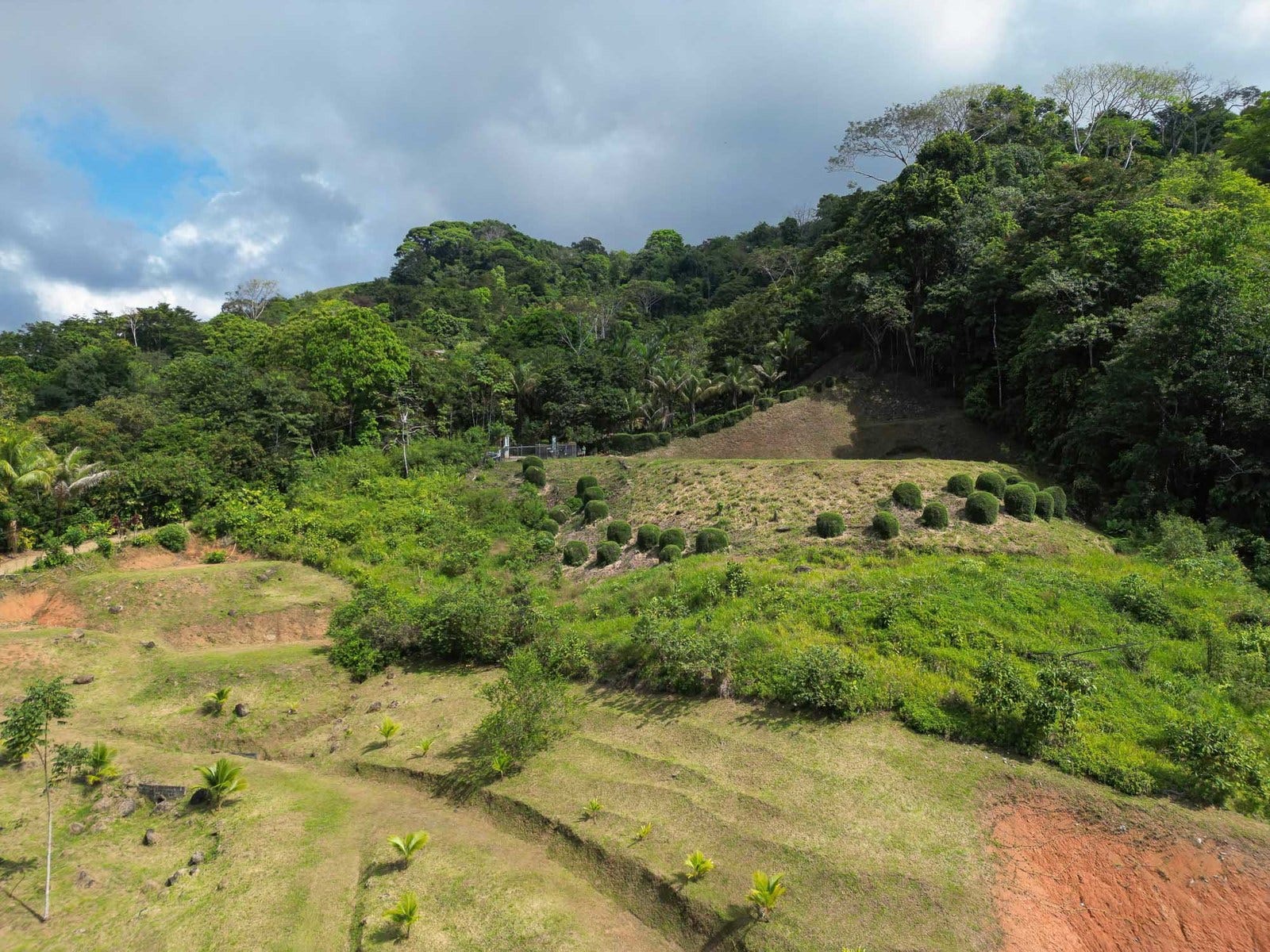 Portalon, Manuel Antonio, Savegre, Quepos, Puntarenas, Costa Rica 60601 — photo 3 of 8