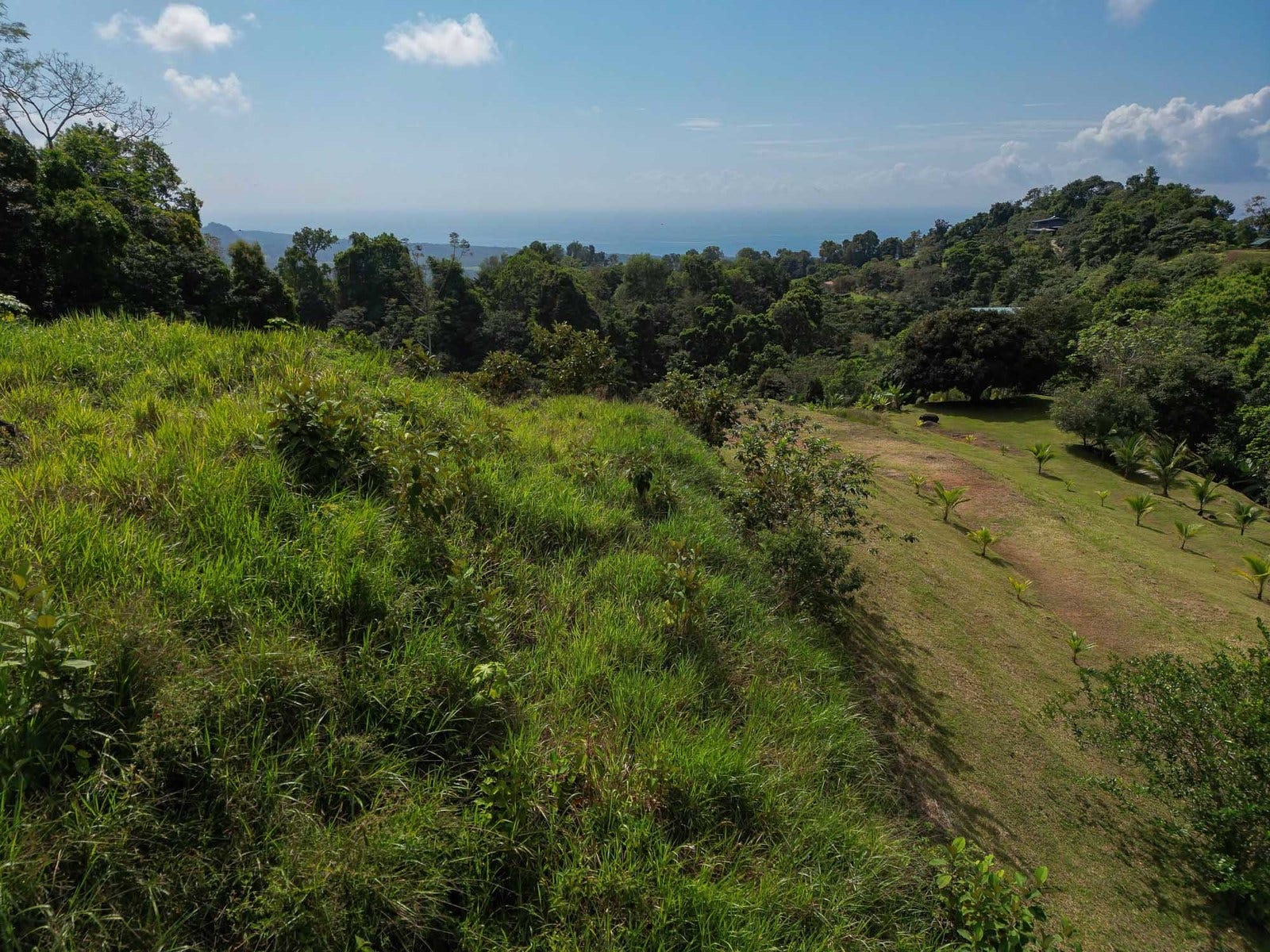 Portalon, Manuel Antonio, Savegre, Quepos, Puntarenas, Costa Rica 60601 — photo 4 of 8