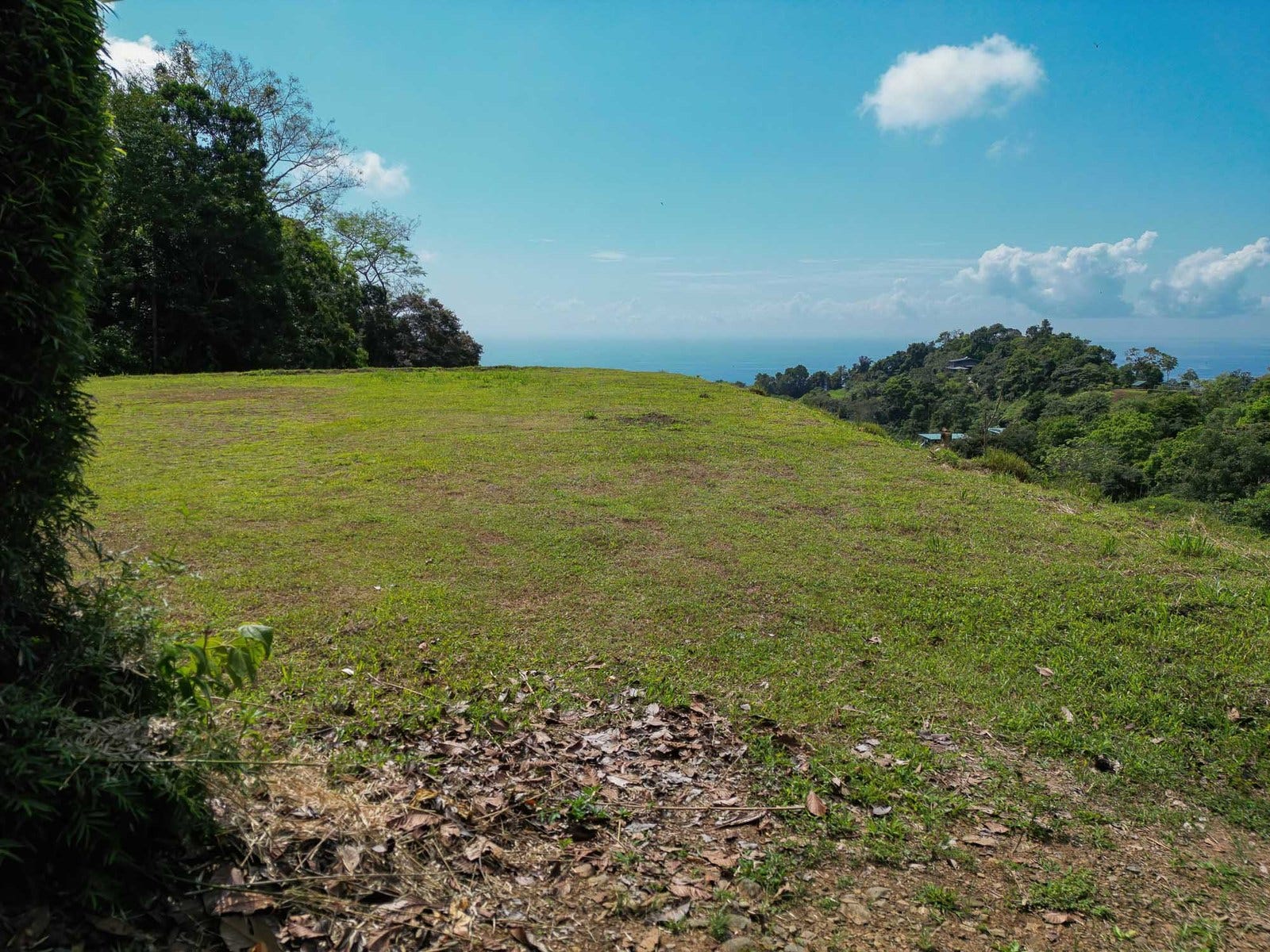 Portalon, Manuel Antonio, Savegre, Quepos, Puntarenas, Costa Rica 60601 — photo 6 of 8