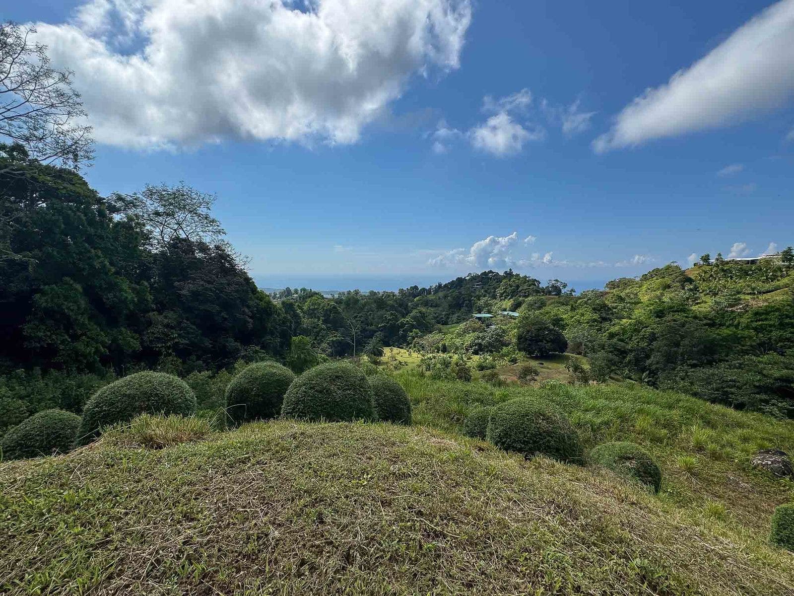 Portalon, Manuel Antonio, Savegre, Quepos, Puntarenas, Costa Rica 60601 — photo 7 of 8