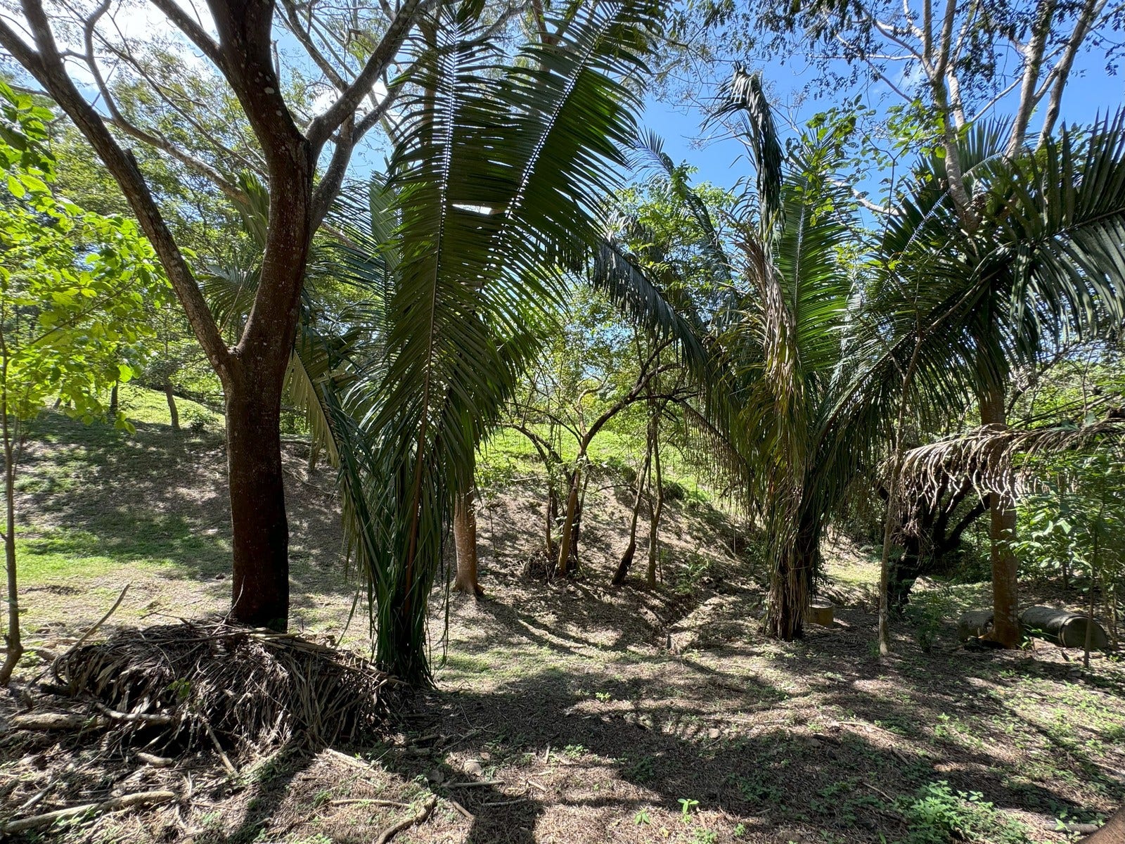 Ocean View Lots with Privacy and Tranquility — photo 10 of 13