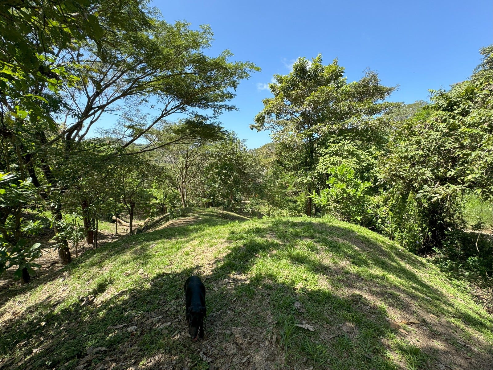 Ocean View Lots with Privacy and Tranquility — photo 11 of 13