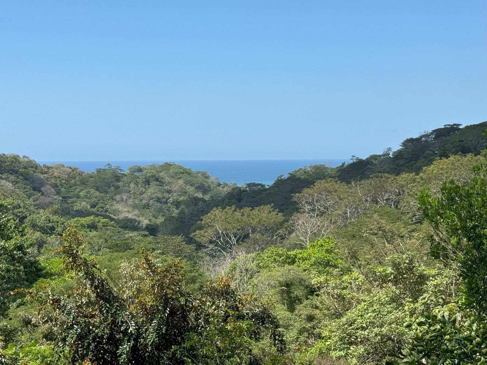 Ocean View Lots with Privacy and Tranquility, Santiago, Santa Teresa, Cobano, Puntarenas, Puntarenas, Costa Rica 60111