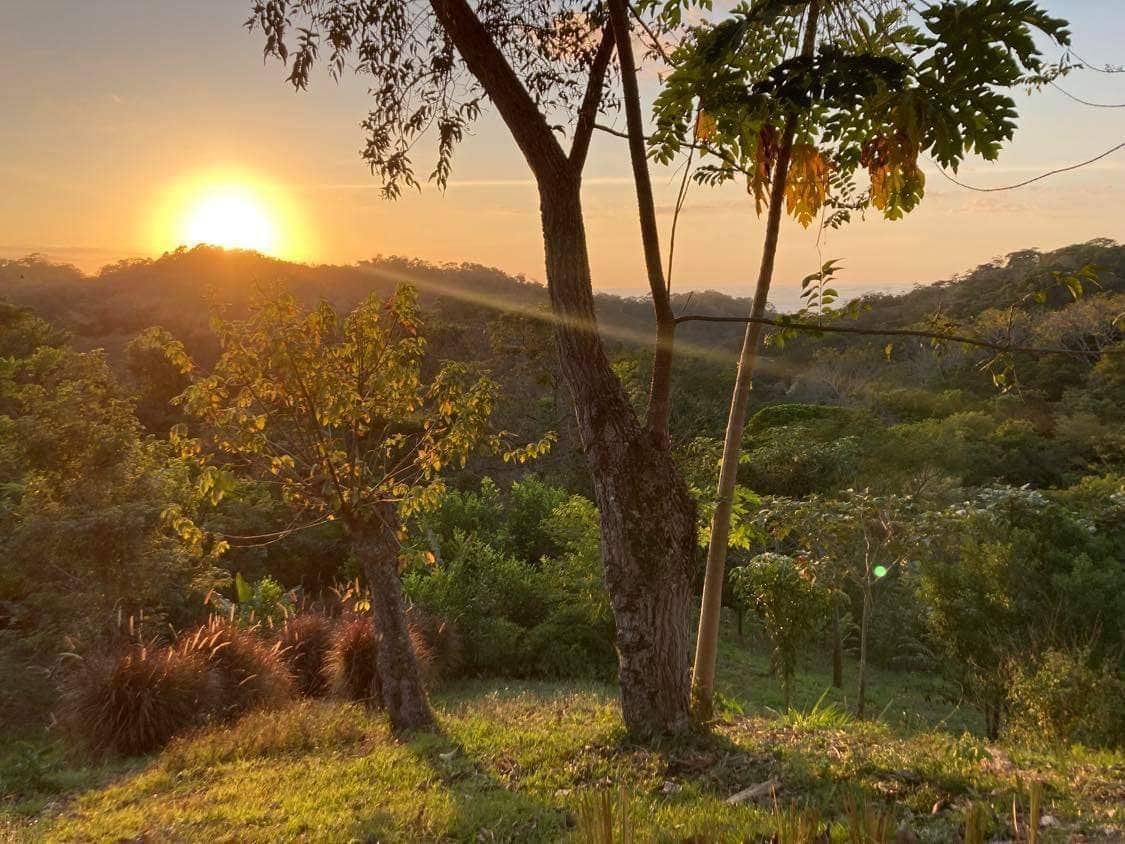Ocean View Lots with Privacy and Tranquility — photo 2 of 13
