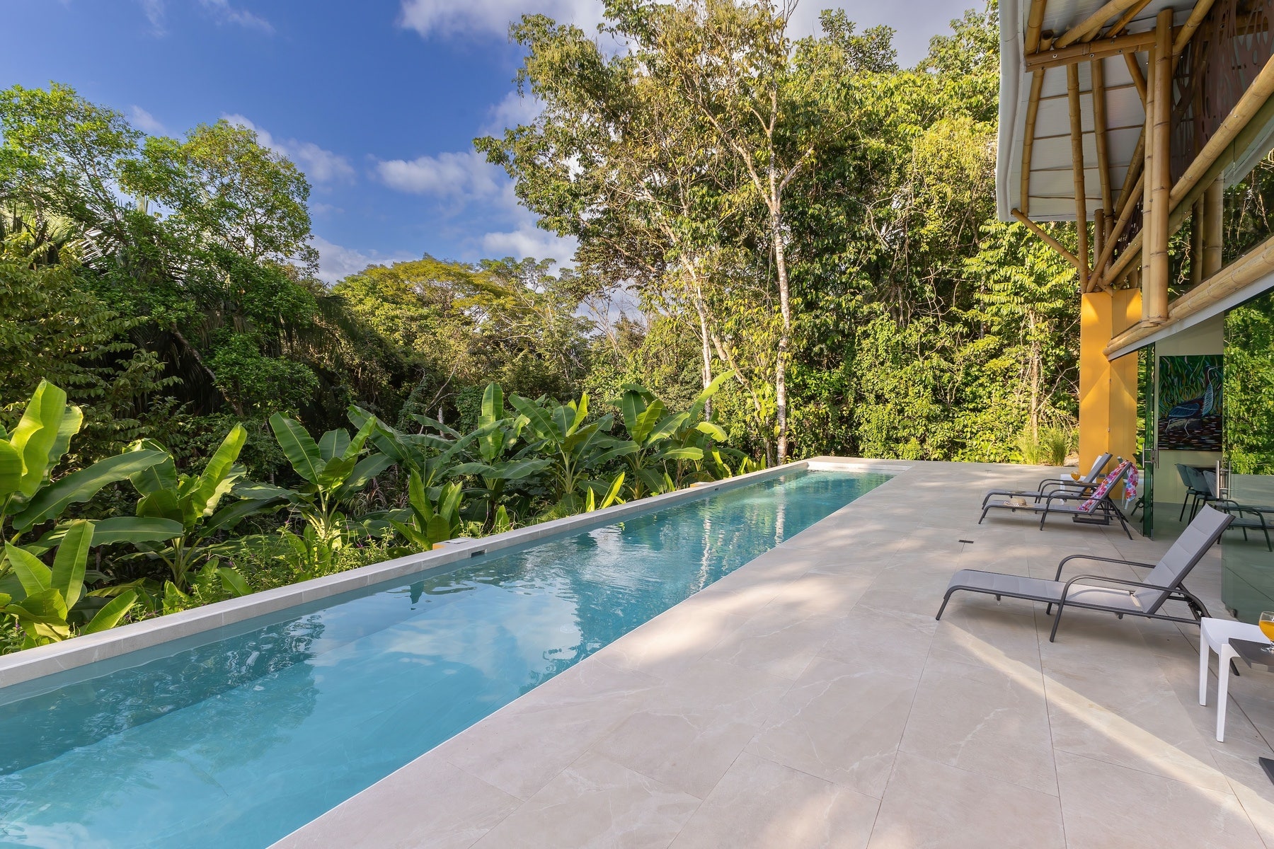 Luxury Jungle Retreat — photo 11 of 19
