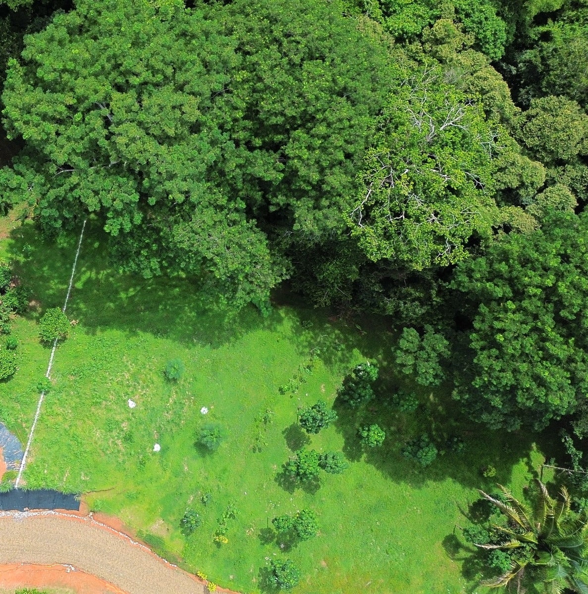 Sustainable Residential Lots — photo 5 of 19