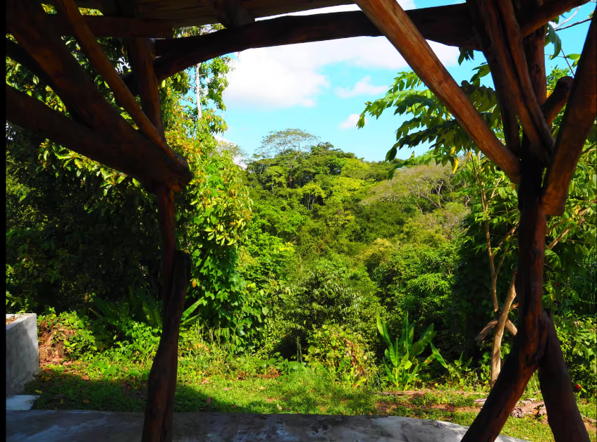 Beautiful Land and Casita Manzanillo — photo 10 of 19