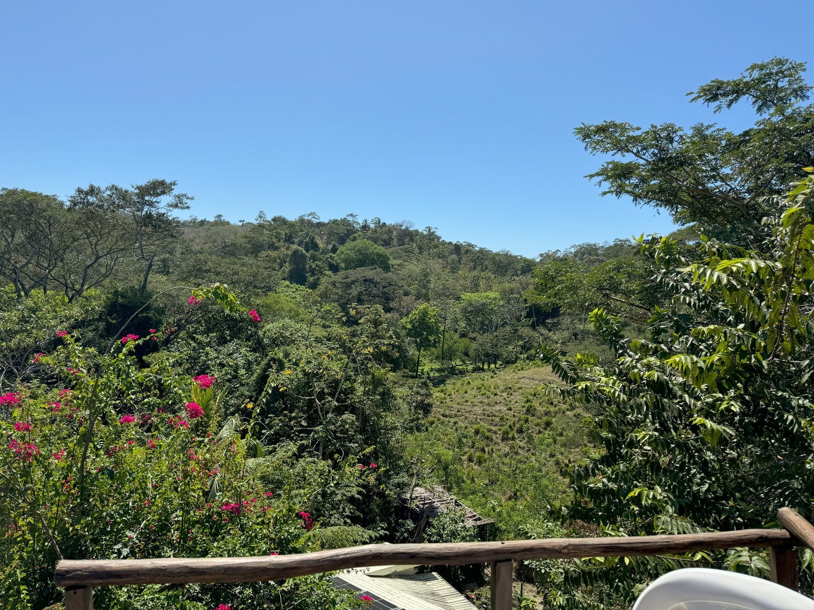 Beautiful Land and Casita Manzanillo — photo 2 of 19