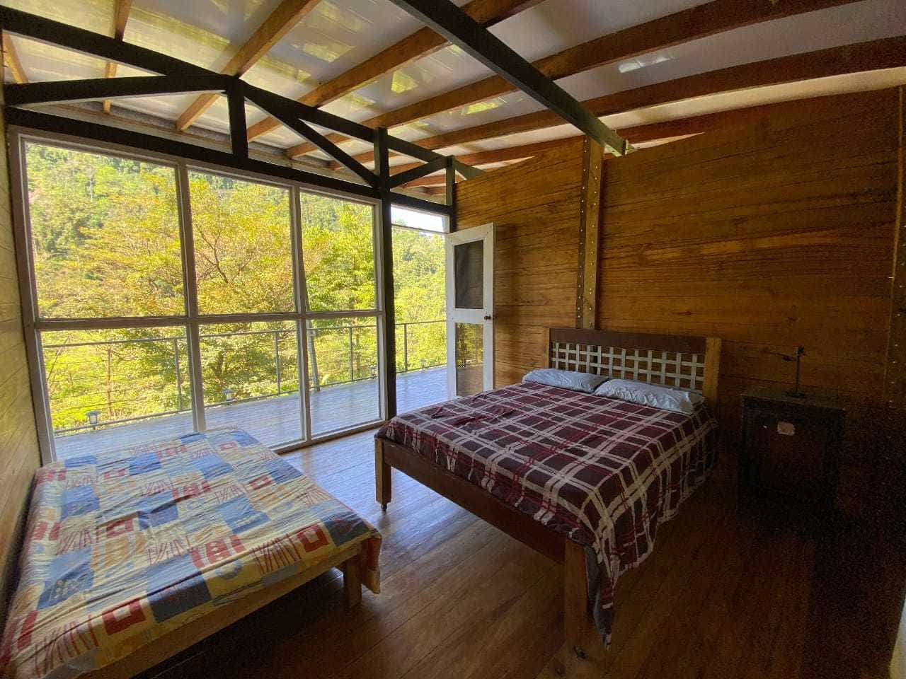 Rainforest Ranch Property — photo 6 of 11