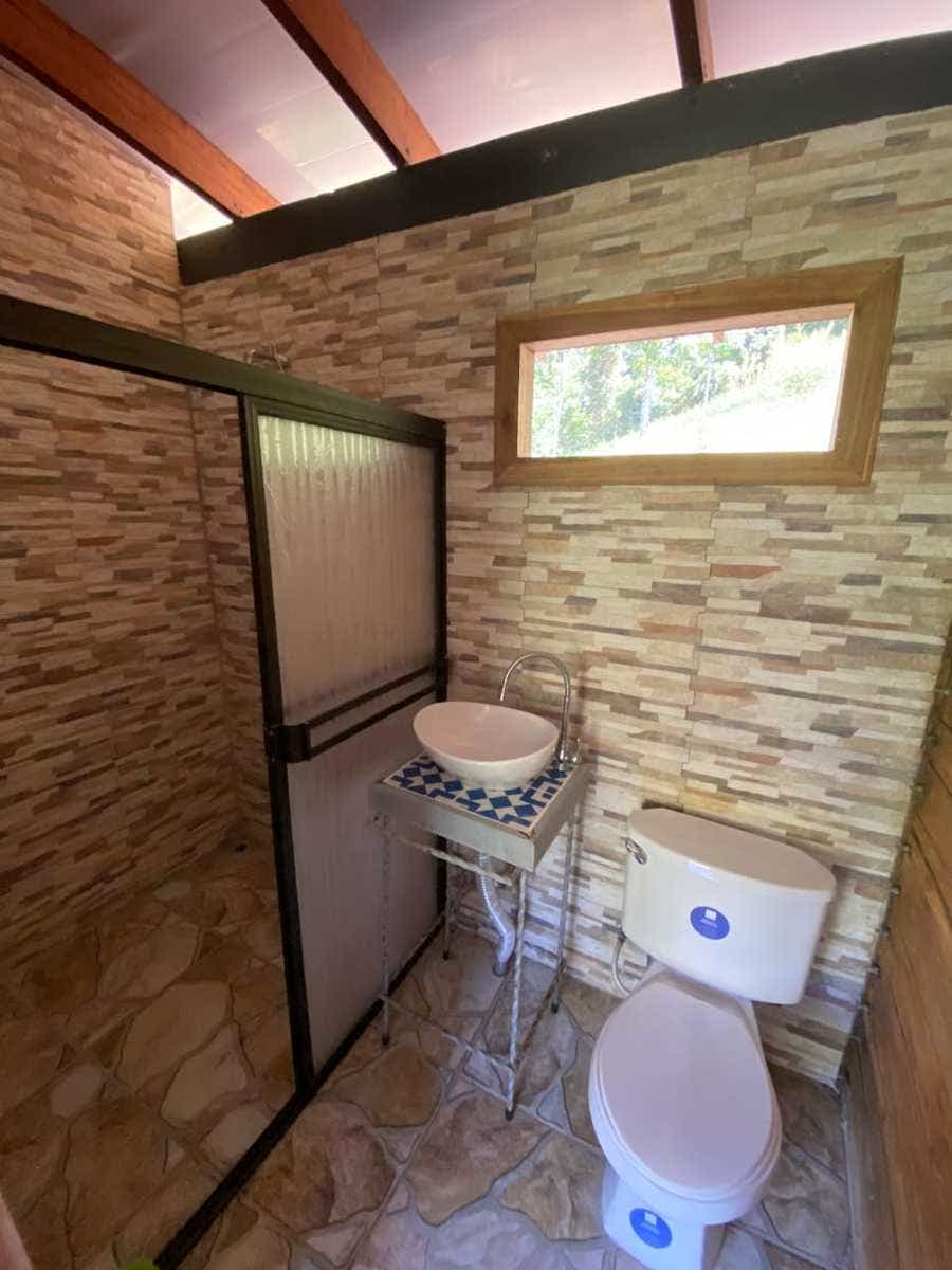 Rainforest Ranch Property — photo 7 of 11