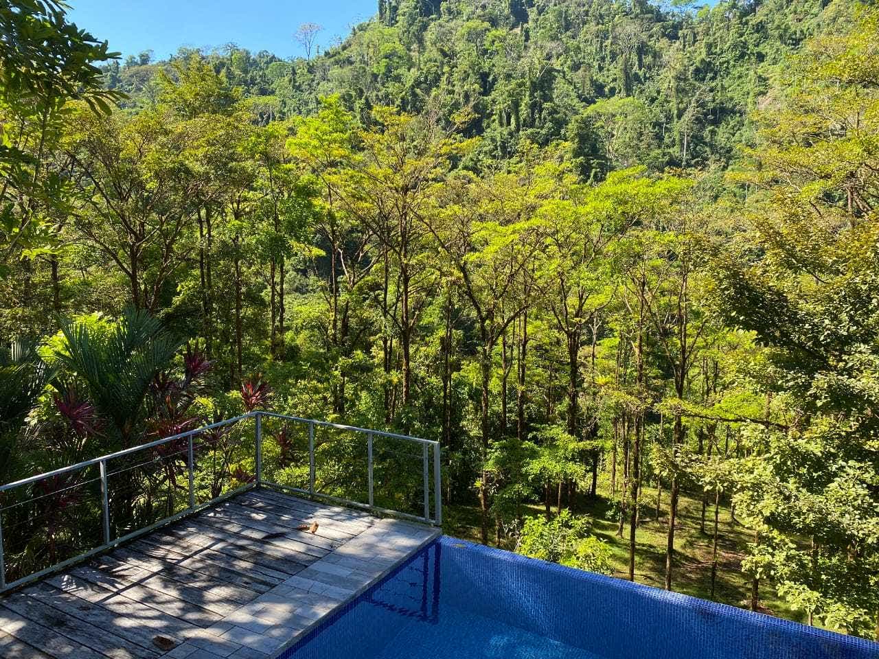 Rainforest Ranch Property — photo 9 of 11