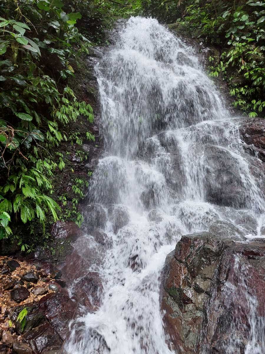 Rainforest Ranch Property, Manuel Antonio, San Marcos, San Marcos, Puntarenas, Costa Rica 10501 — photo 3 of 5