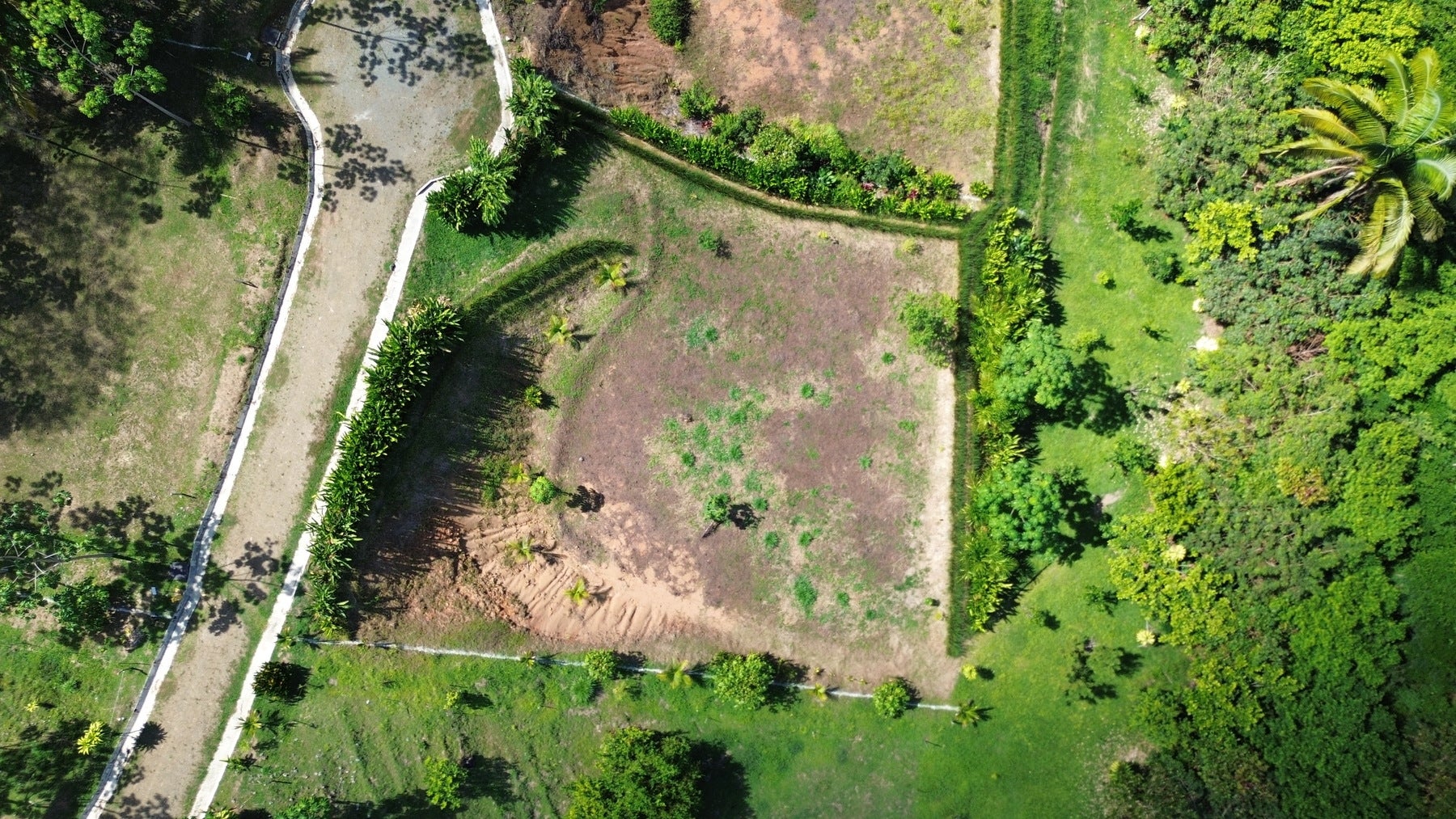 Sustainable Residential Lots — photo 13 of 19