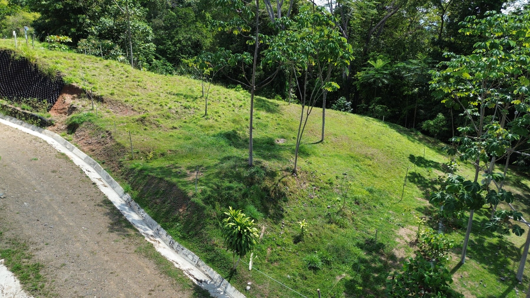 Sustainable Residential Lots — photo 17 of 19