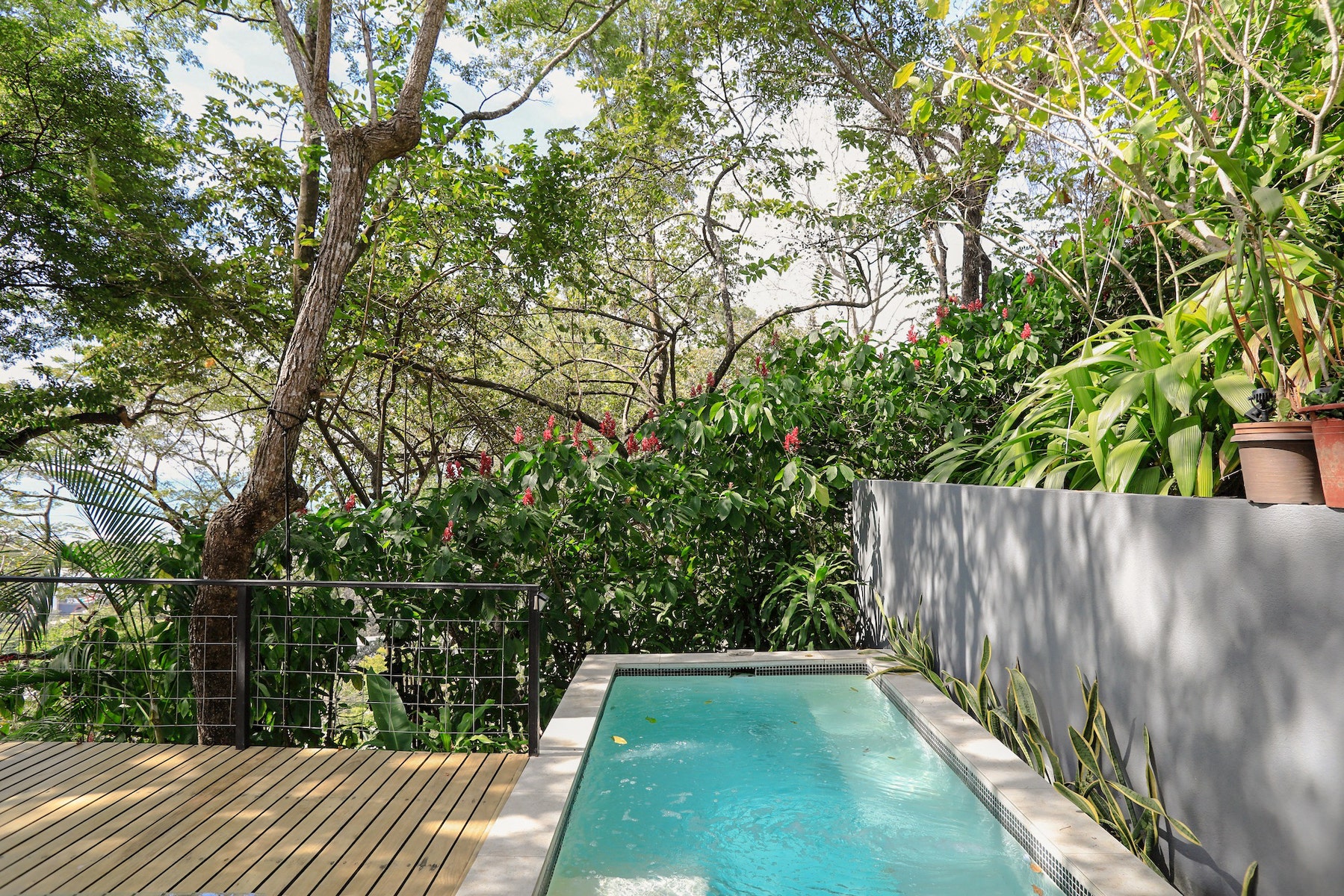 Ocean View Tropical Home — photo 8 of 12