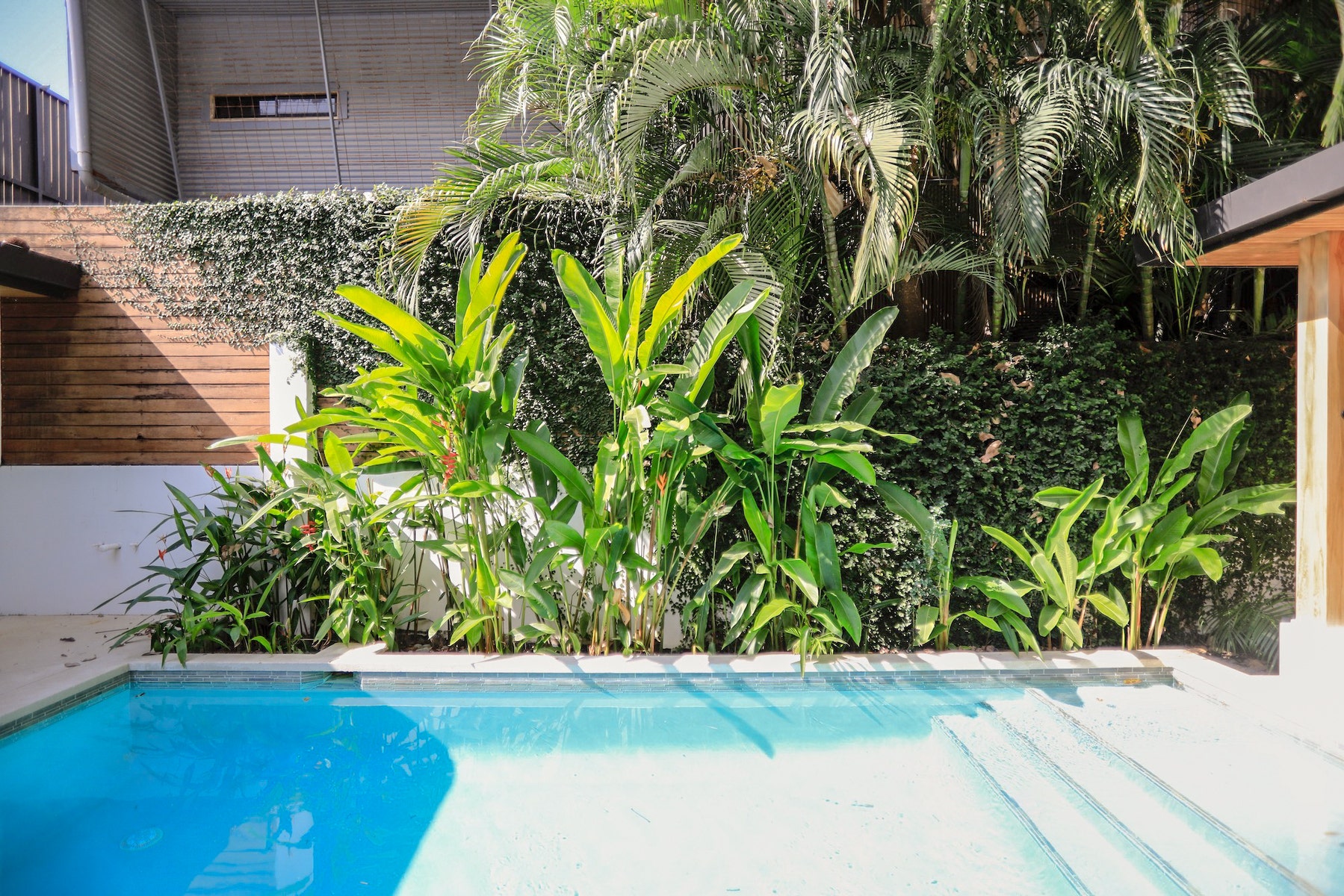 Tropical Modern Home Steps to the Surf — photo 15 of 19
