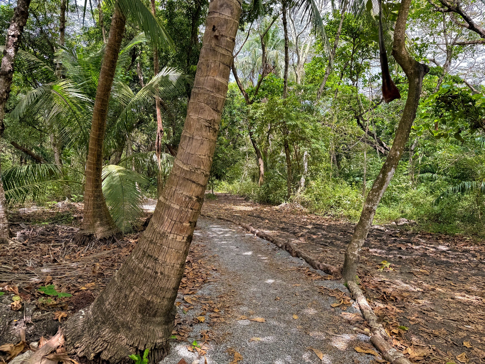 Playa Hermosa Premier Beachfront Lot — photo 11 of 17