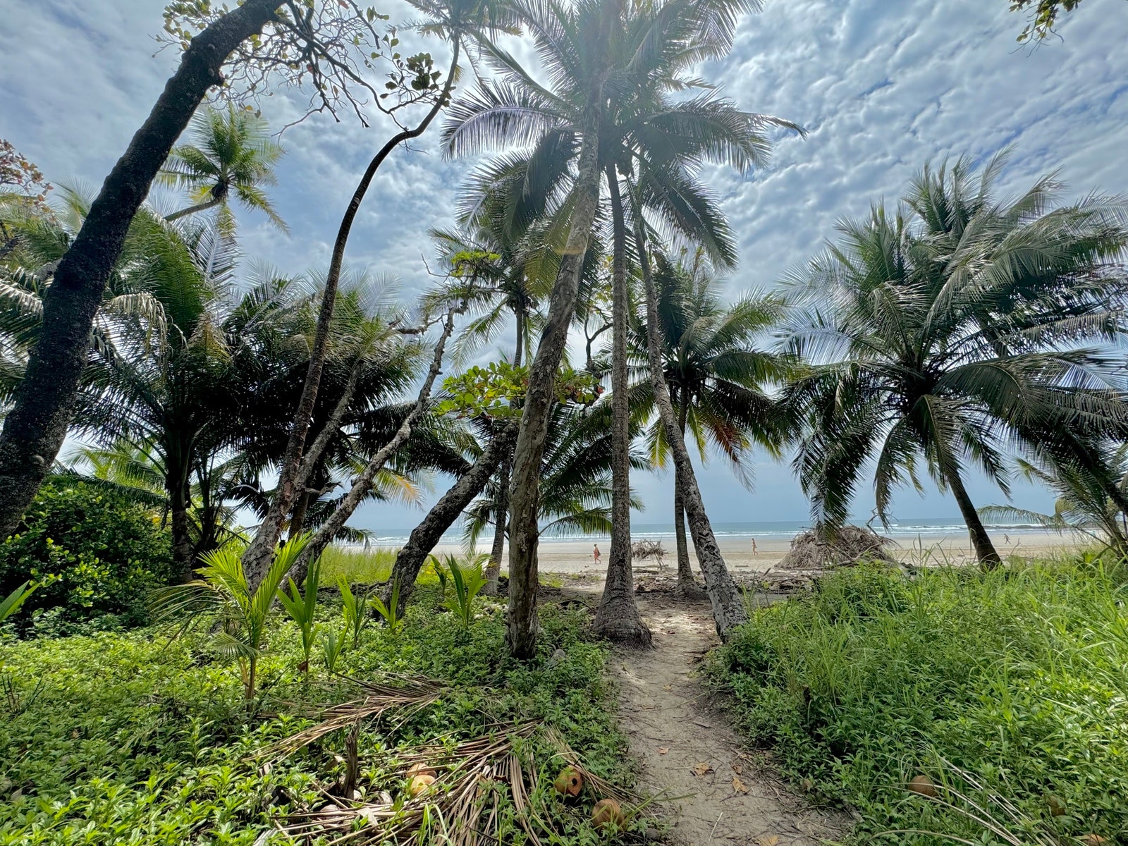Playa Hermosa Premier Beachfront Lot — photo 13 of 17