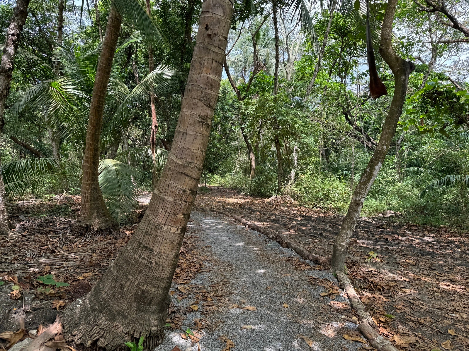 Playa Hermosa Premier Beachfront Lot — photo 14 of 17