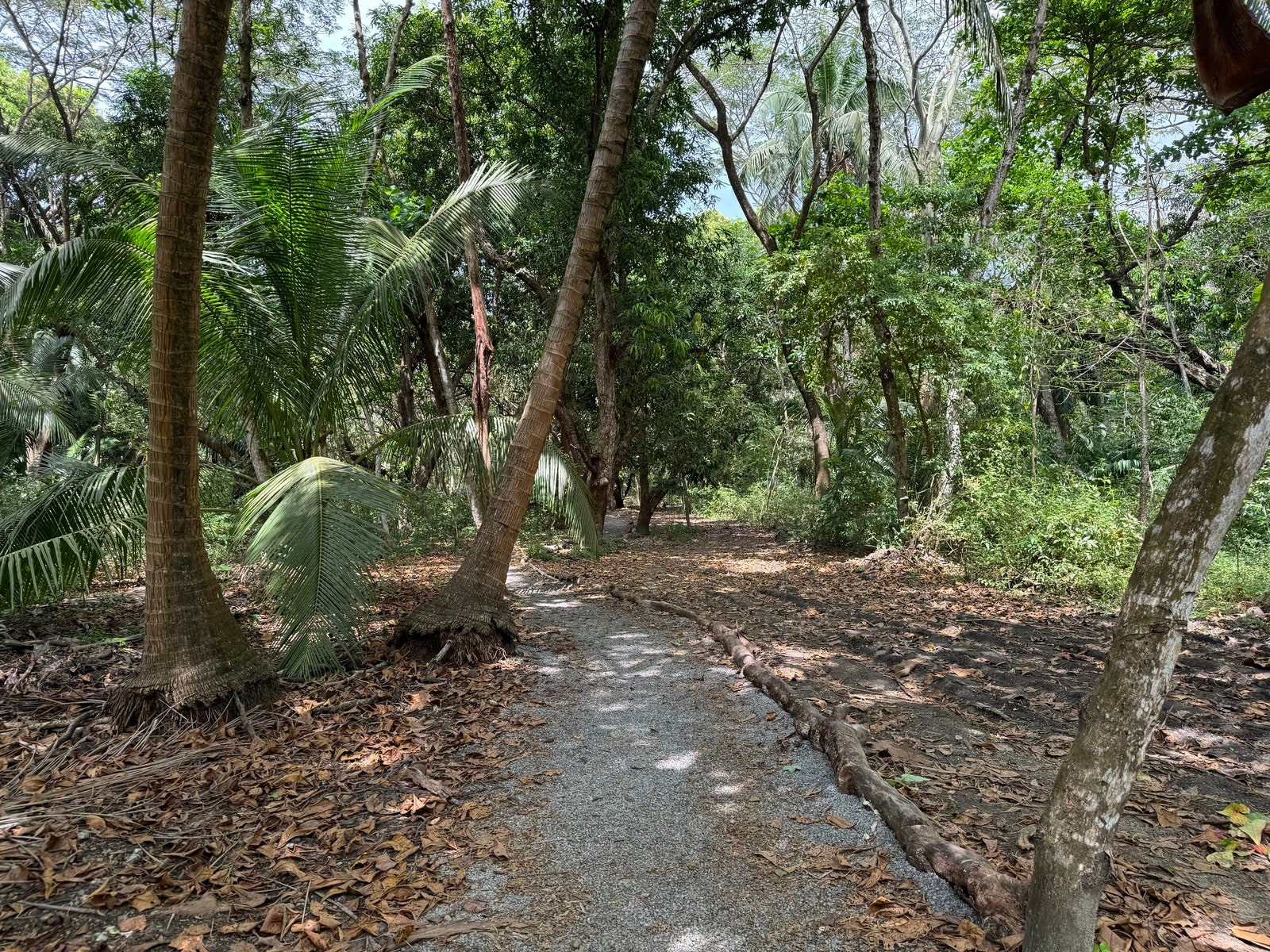 Playa Hermosa Premier Beachfront Lot — photo 16 of 17