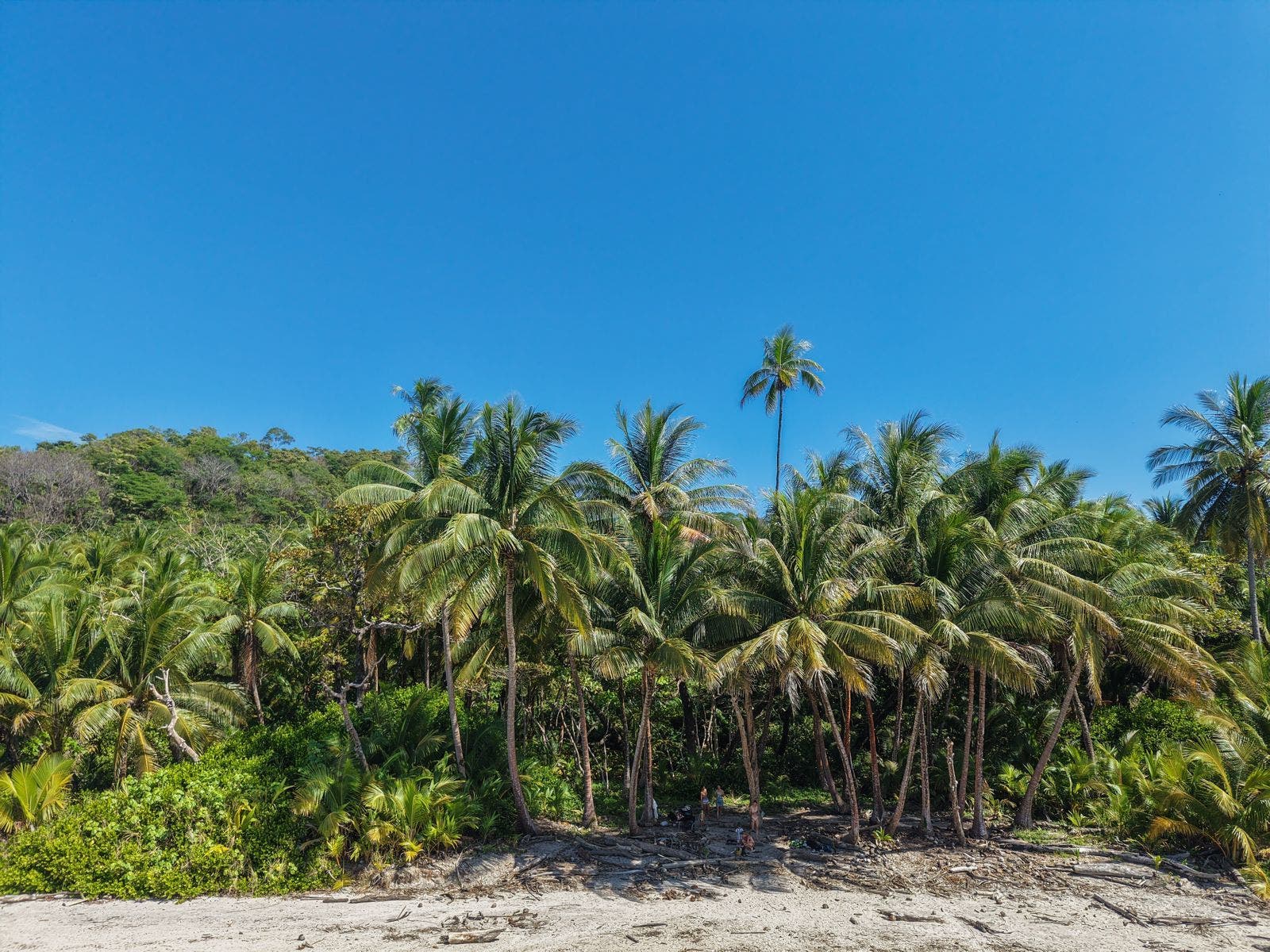 Playa Hermosa Premier Beachfront Lot — photo 9 of 17