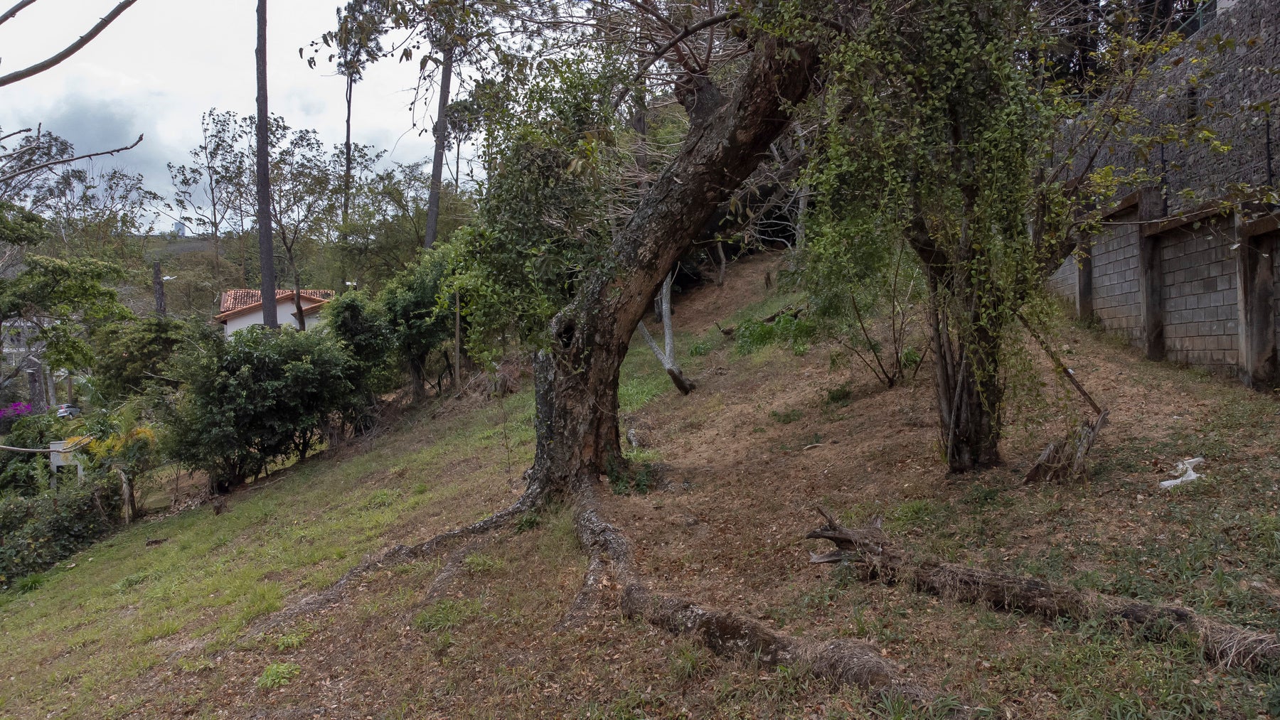 Private Land in Gated Community — photo 3 of 12