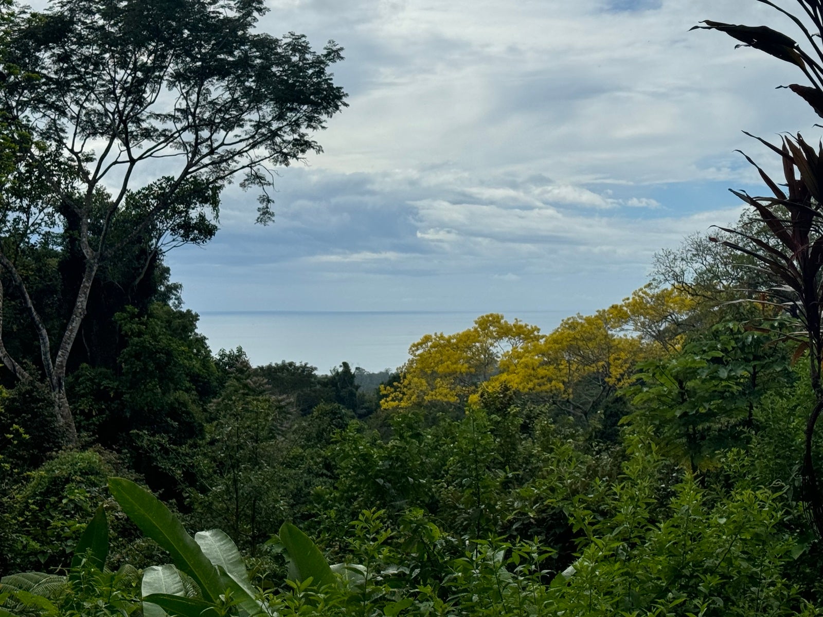 Private Ocean View Land, Matapalo, Manuel Antonio, Savegre, Quepos, Puntarenas, Costa Rica 60602