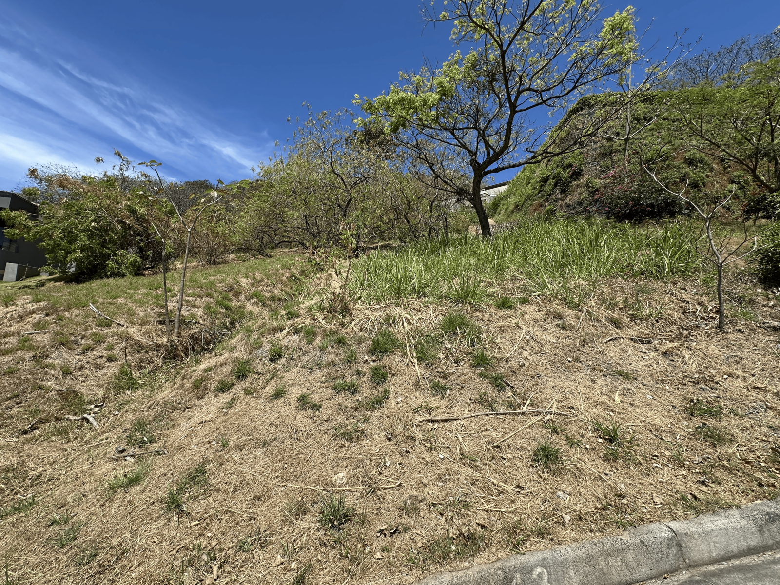 Villa Real Panoramic Lot — photo 3 of 16