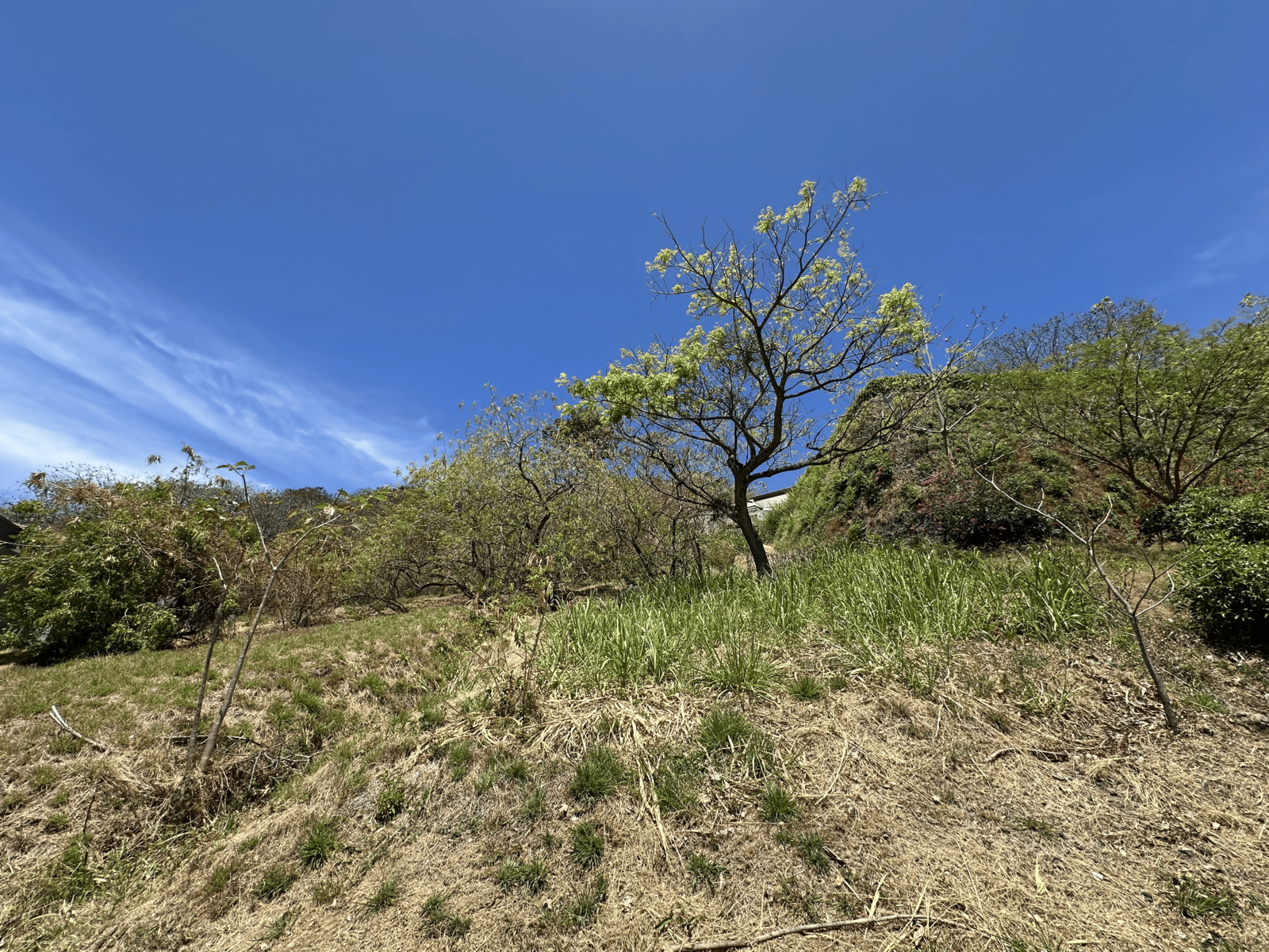 Villa Real Panoramic Lot — photo 4 of 16