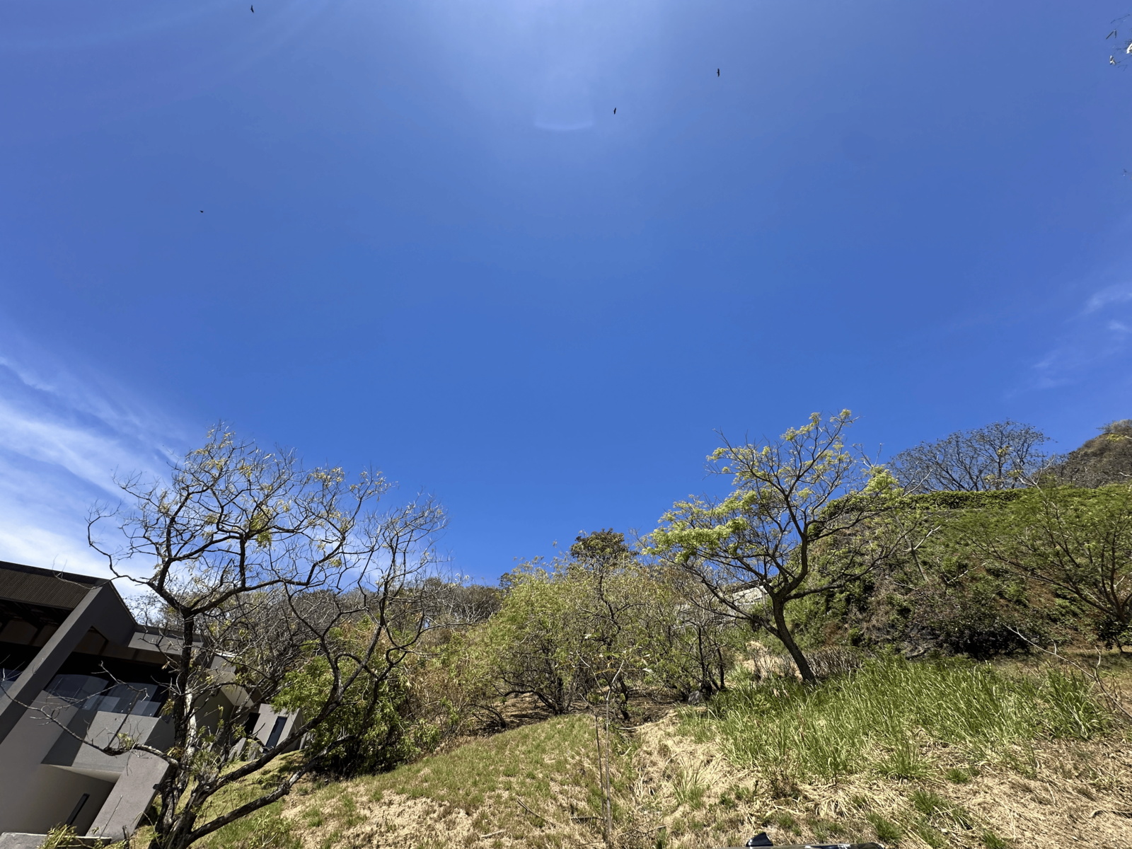 Villa Real Panoramic Lot — photo 16 of 16