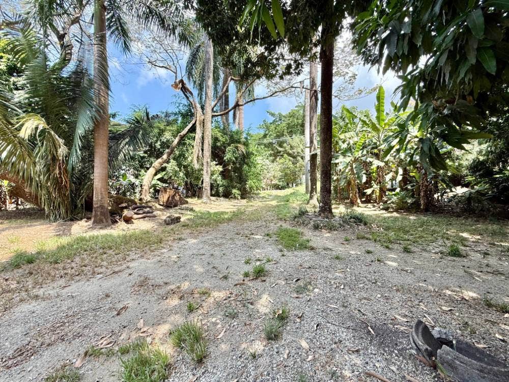 Prime Corner Lot in the Heart of Santa Teresa — photo 4 of 7