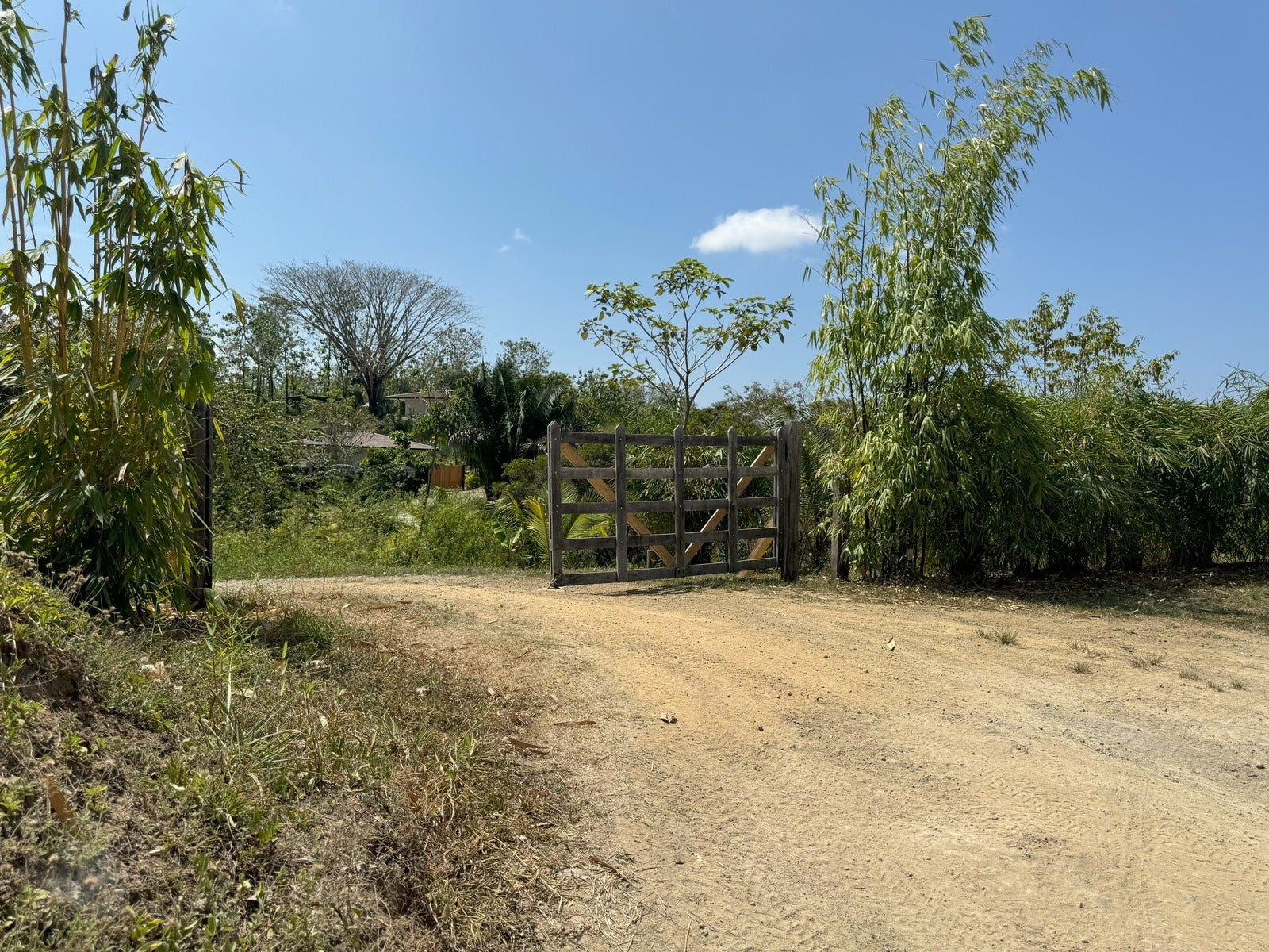 Beautiful Lots Within Organic Farm — photo 2 of 9