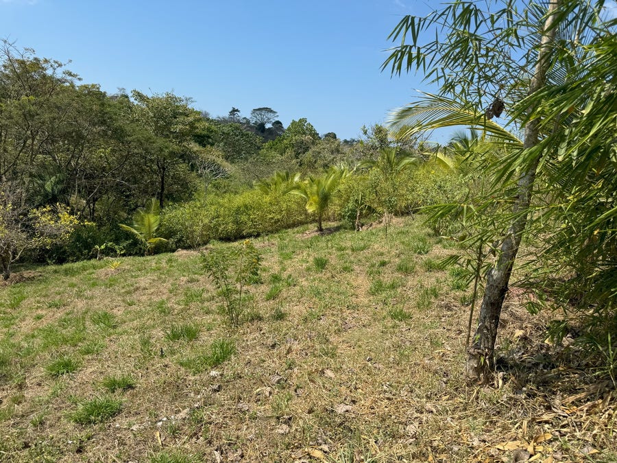 Property photo for Beautiful Lots Within Organic Farm, San Isidro, Santa Teresa, Cobano, Puntarenas, Puntarenas, Costa Rica