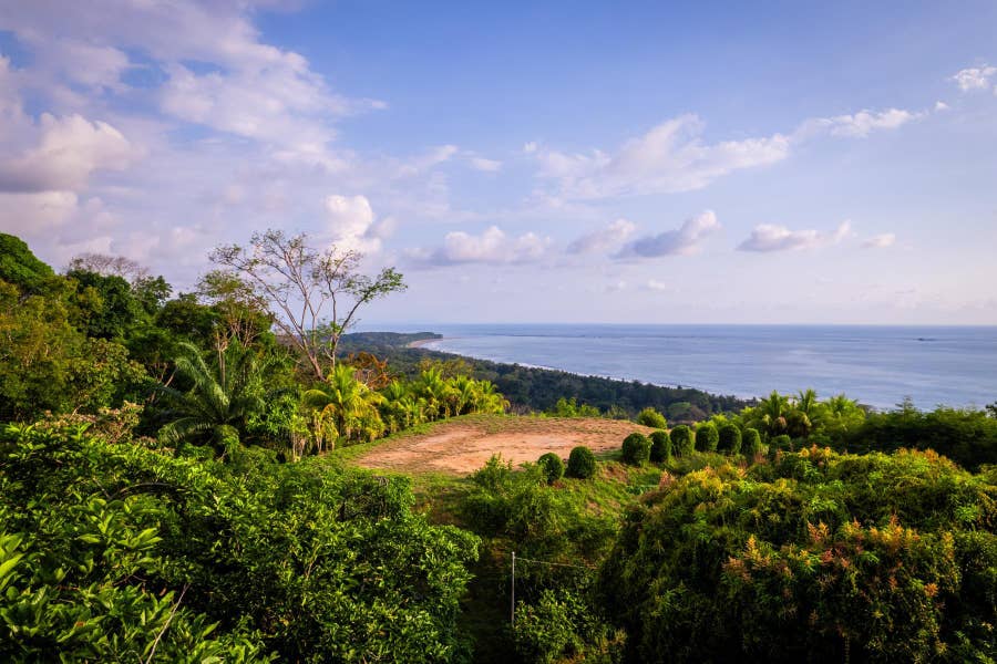Property photo for Ultra Luxury Coastal Estate with Unrivaled Whales Tail Views, Uvita, Dominical, Osa, Puntarenas, Costa Rica
