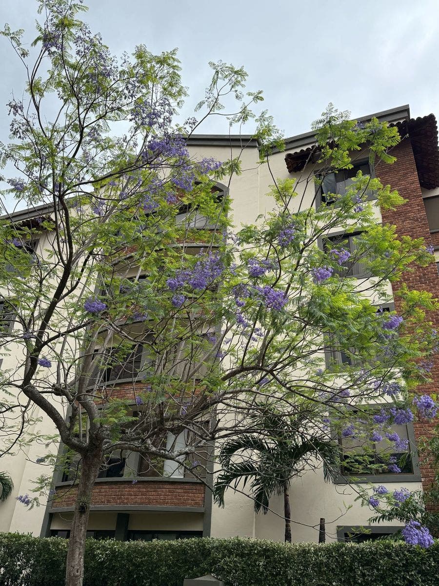 Property photo for condado del country, Condado Del Country, Escazu, Escazu, San Jose, Costa Rica