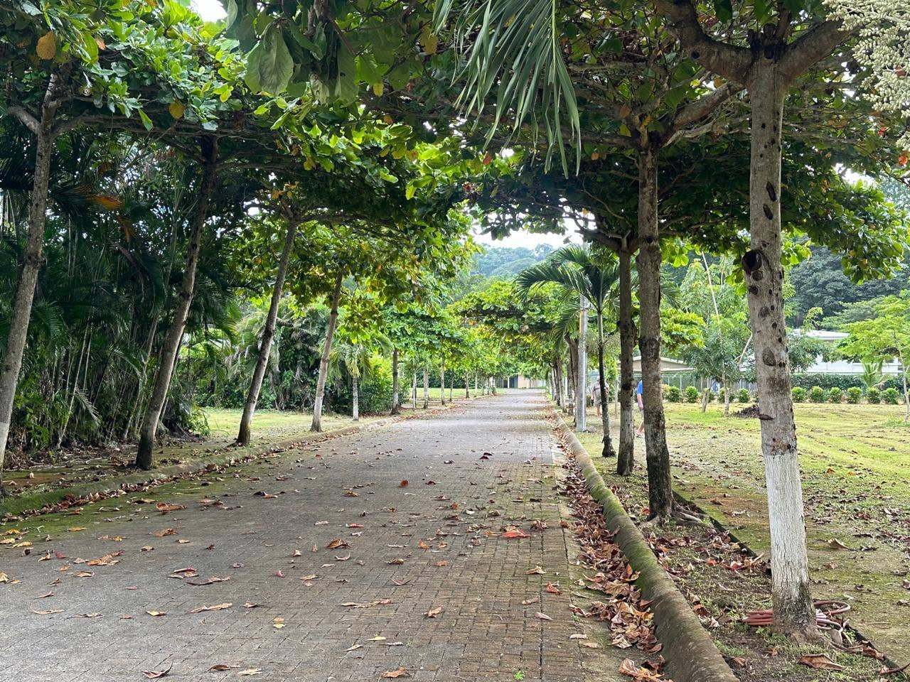 Flat Lot Ready To Build, Jaco, Jaco, Puntarenas, Puntarenas, Costa Rica  61102