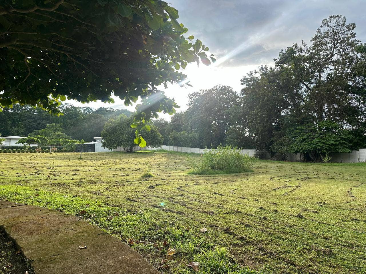 Flat Lot Ready To Build — photo 5 of 8