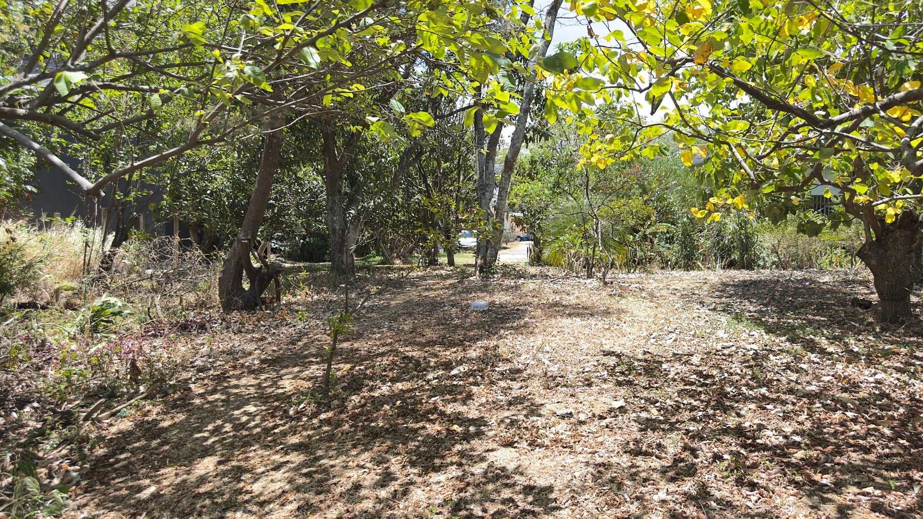 Guachipelin de Escazu, Milla de Oro, Guachipelin, Escazu, San Rafael, Escazu, San Jose, Costa Rica 10203