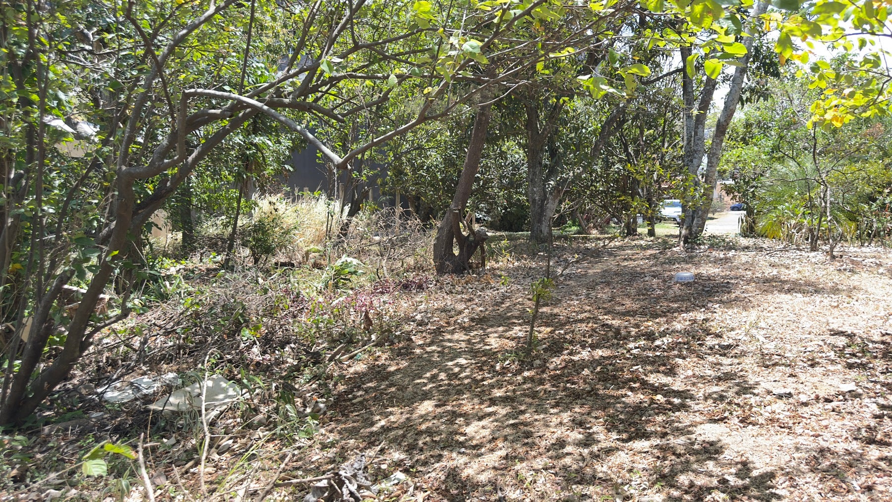 Guachipelin de Escazu, Milla de Oro — photo 2 of 8