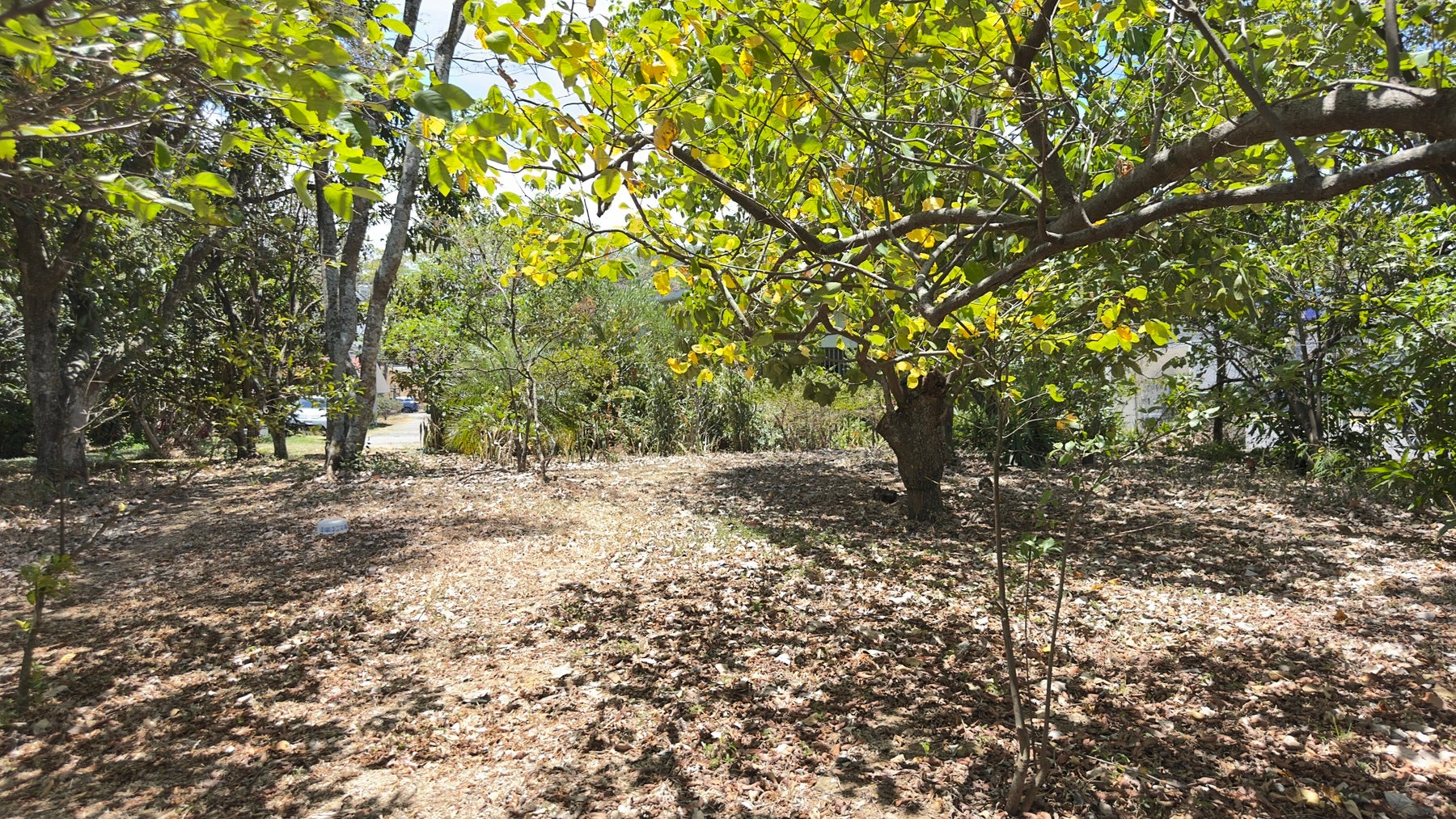 Guachipelin de Escazu, Milla de Oro — photo 3 of 8