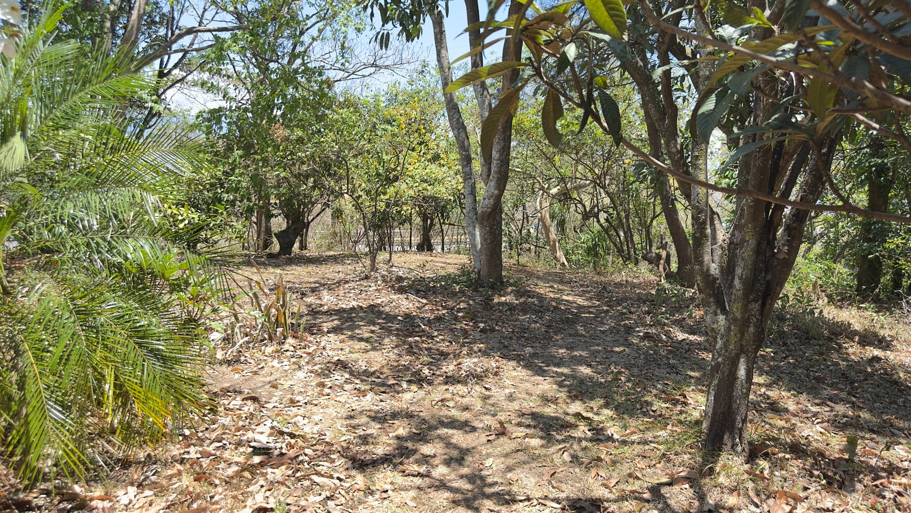 Guachipelin de Escazu, Milla de Oro — photo 4 of 8