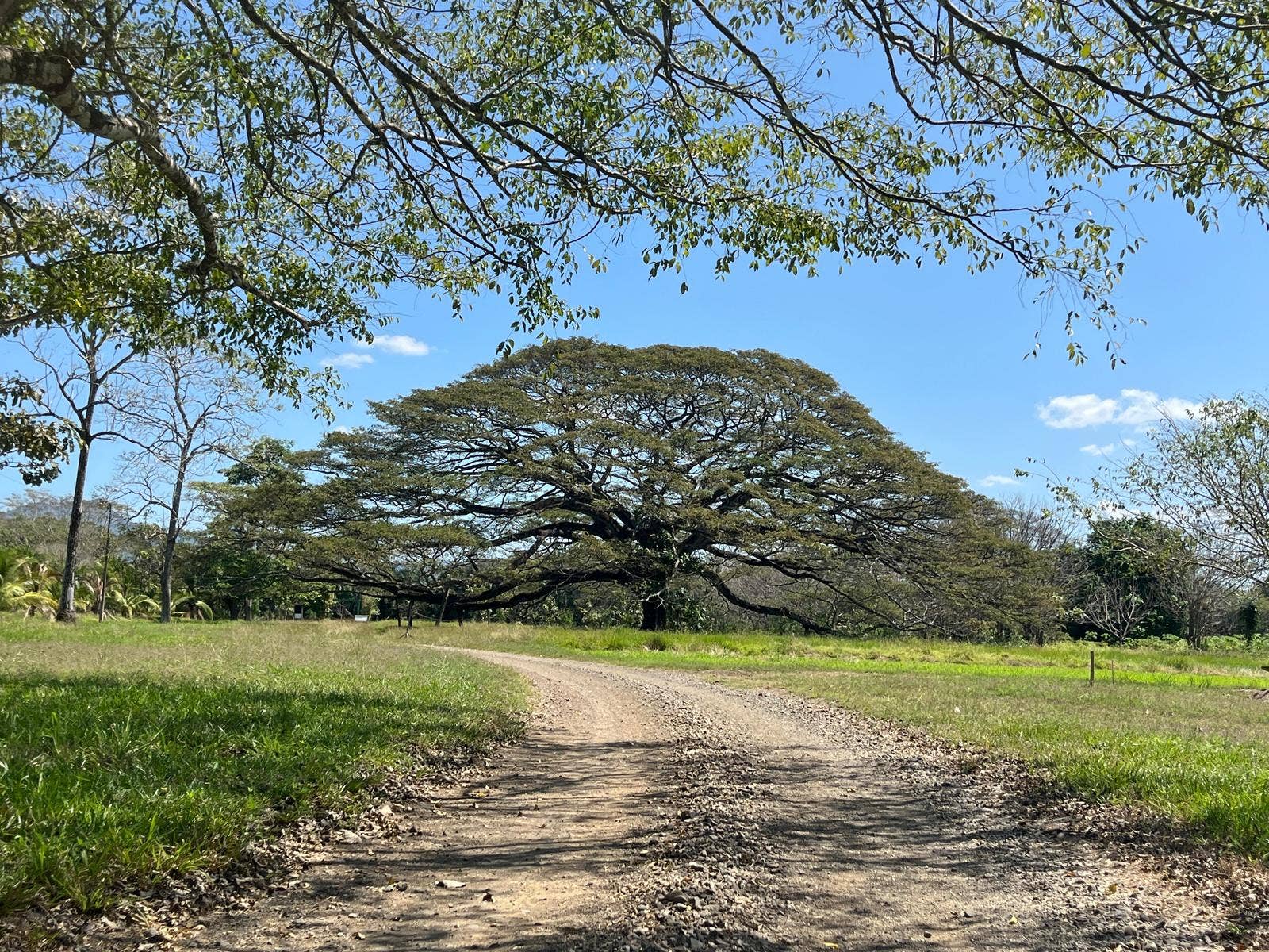101 Hectares of Prime Agricultural Land with Infrastructure Operational Certified Organic Farm, Santa Teresa, Nandayure, Puntarenas, Costa Rica 50906