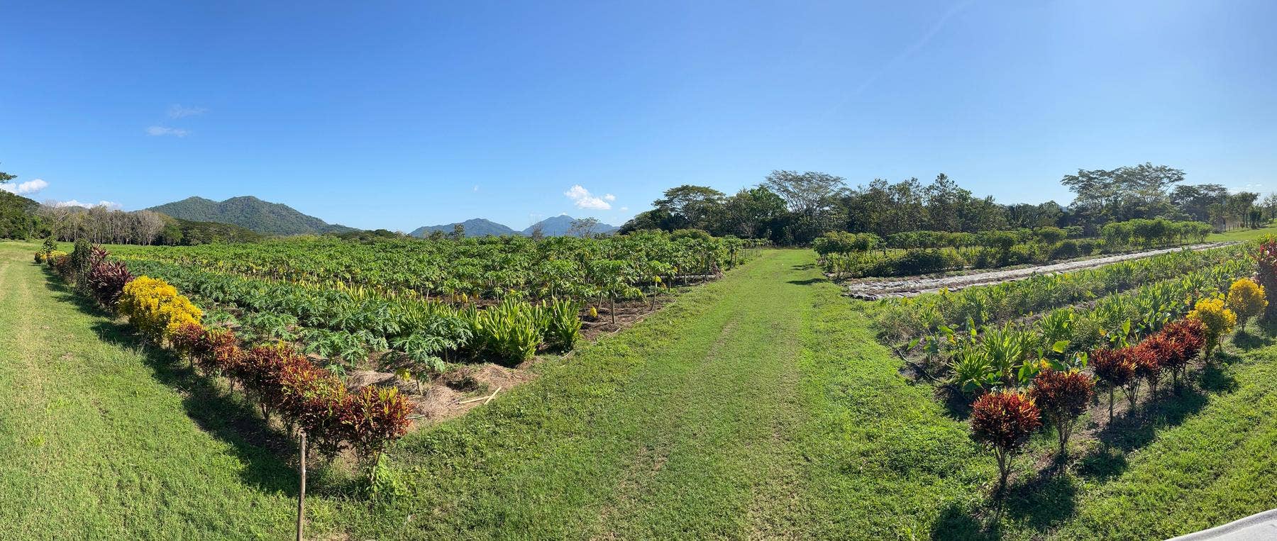 101 Hectares of Prime Agricultural Land with Infrastructure Operational Certified Organic Farm, Santa Teresa, Nandayure, Puntarenas, Costa Rica 50906 — photo 3 of 5