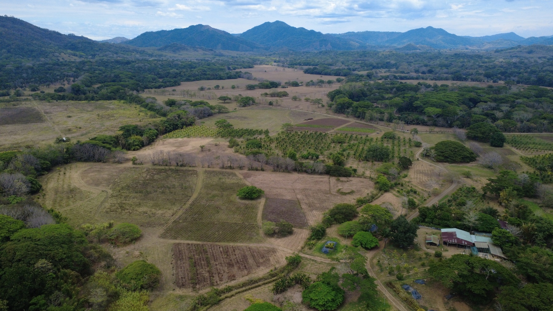 101 Hectares of Prime Agricultural Land with Infrastructure Operational Certified Organic Farm — photo 6 of 15