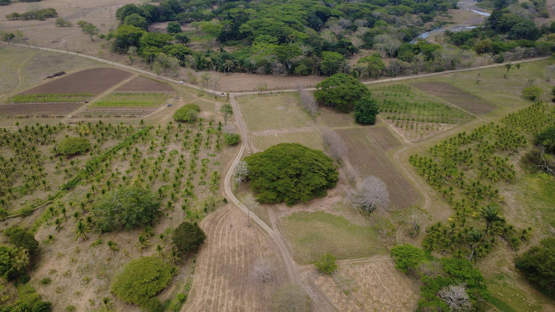 101 Hectares of Prime Agricultural Land with Infrastructure Operational Certified Organic Farm — photo 7 of 15
