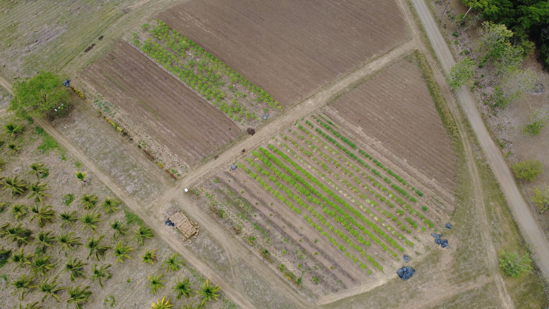 101 Hectares of Prime Agricultural Land with Infrastructure Operational Certified Organic Farm — photo 8 of 15