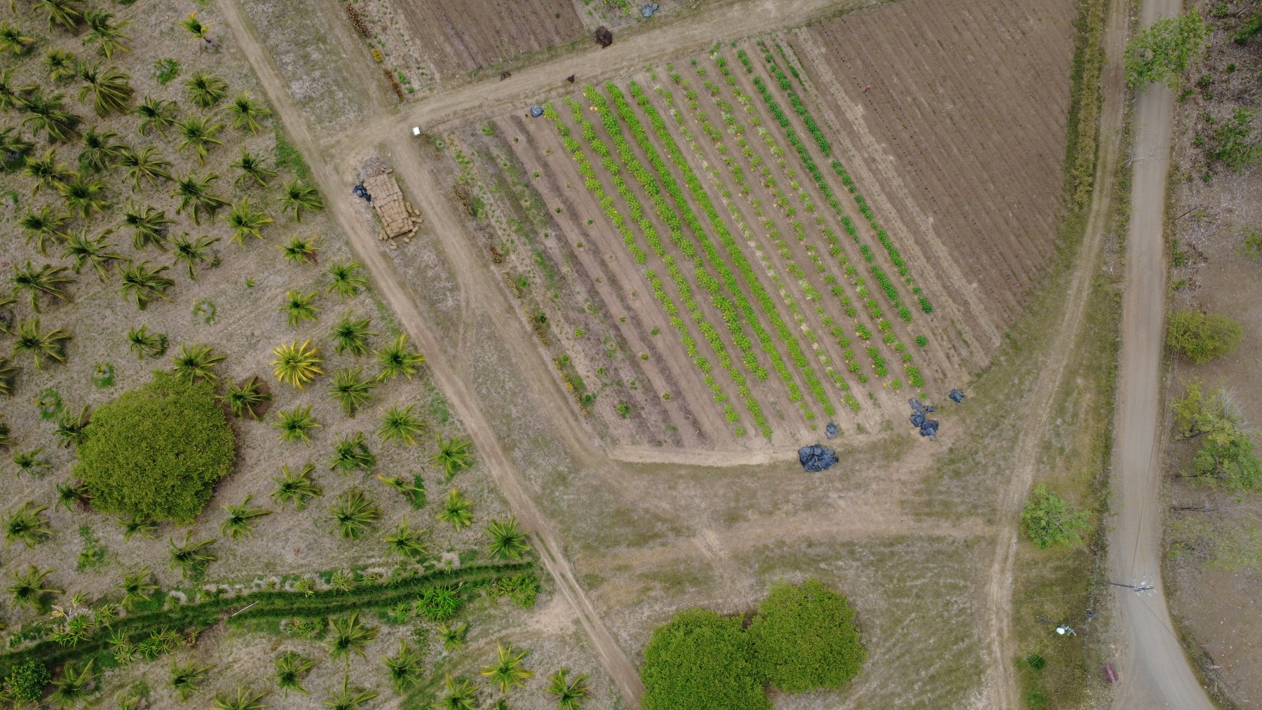 101 Hectares of Prime Agricultural Land with Infrastructure Operational Certified Organic Farm — photo 9 of 15