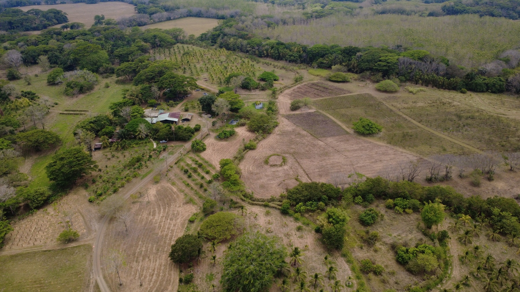 101 Hectares of Prime Agricultural Land with Infrastructure Operational Certified Organic Farm — photo 10 of 15