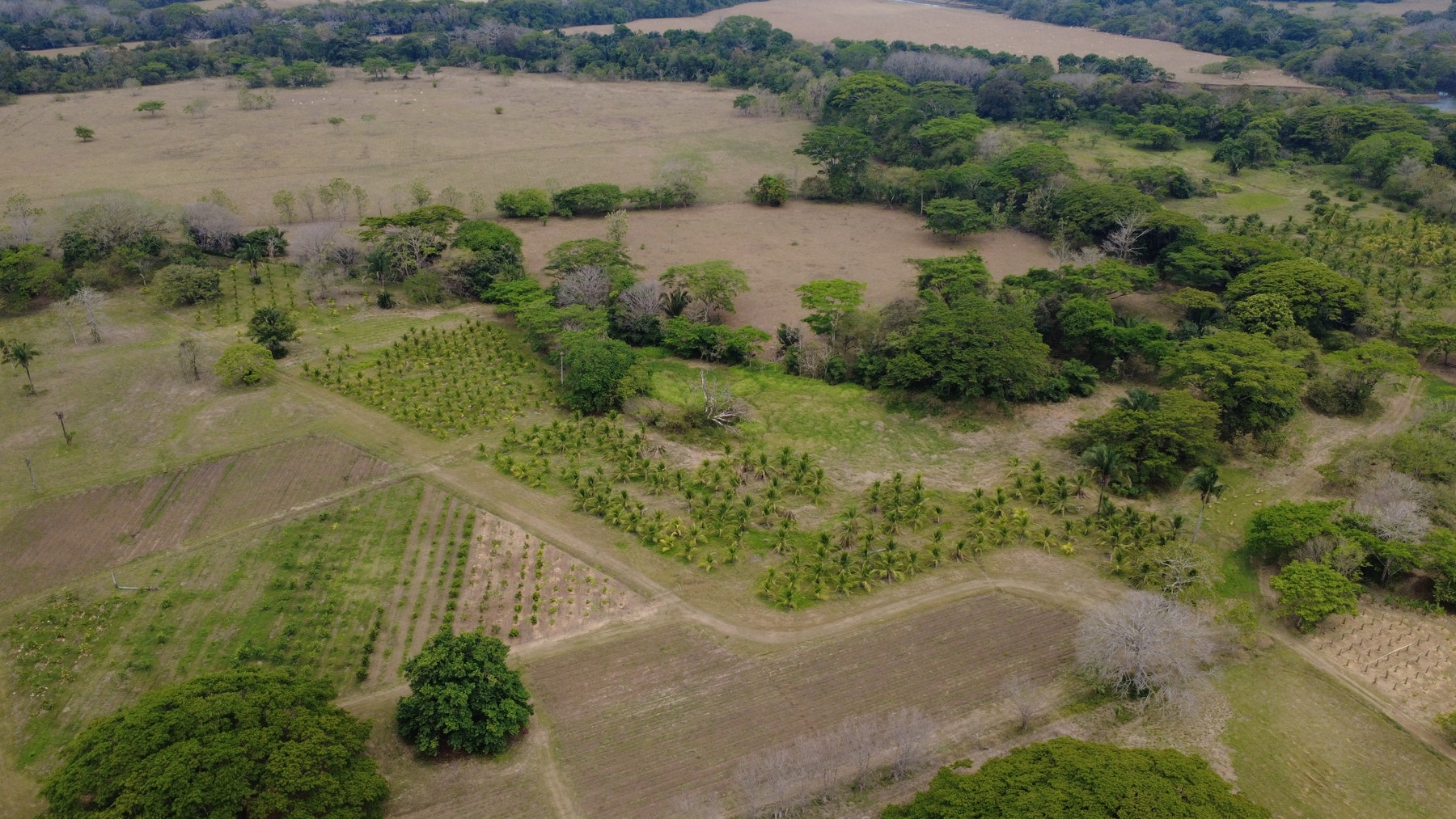 101 Hectares of Prime Agricultural Land with Infrastructure Operational Certified Organic Farm — photo 11 of 15