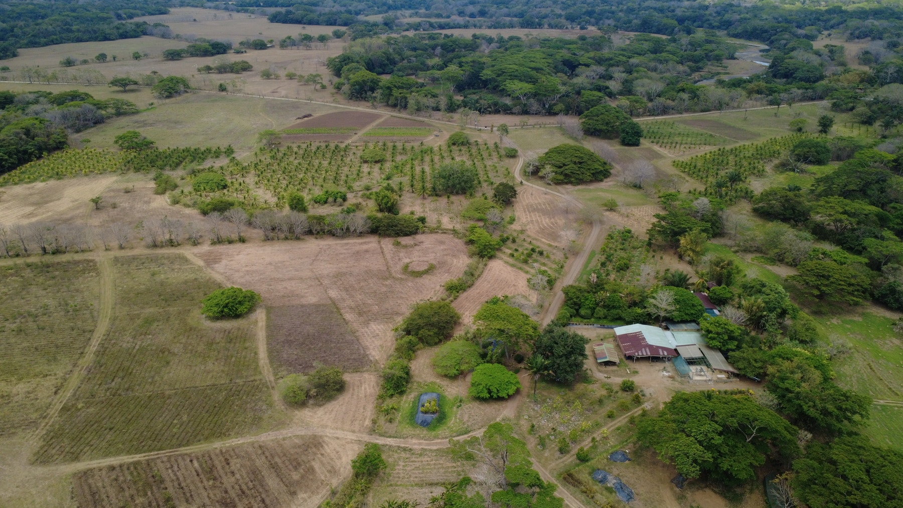 101 Hectares of Prime Agricultural Land with Infrastructure Operational Certified Organic Farm — photo 12 of 15